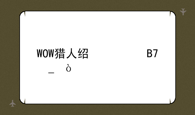 WOW猎人经典名字？