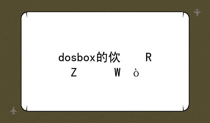 dosbox的使用方法？