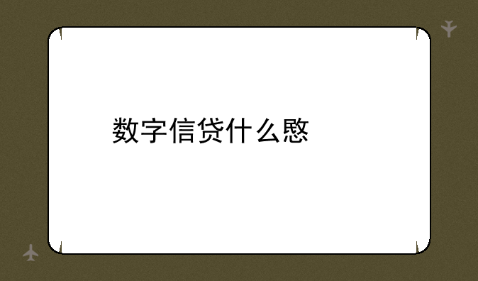 数字信贷什么意思