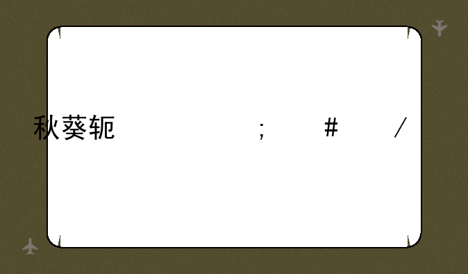 秋葵软件怎么下载