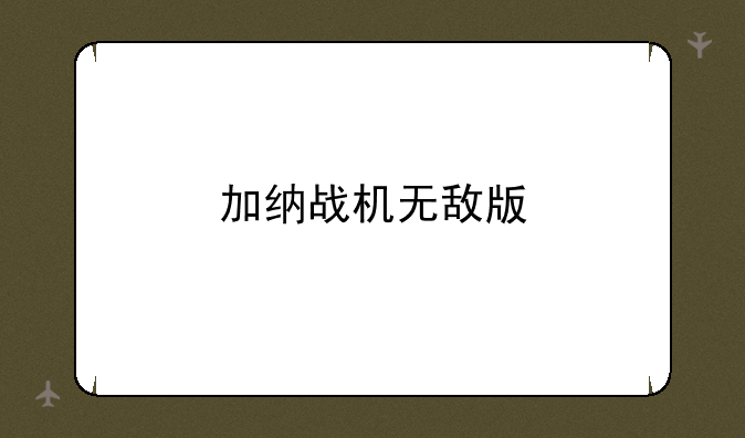 加纳战机无敌版