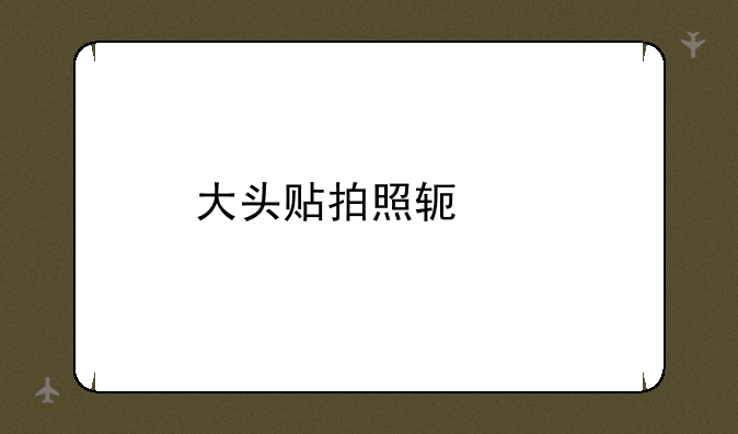 大头贴拍照软件