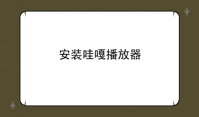 安装哇嘎播放器