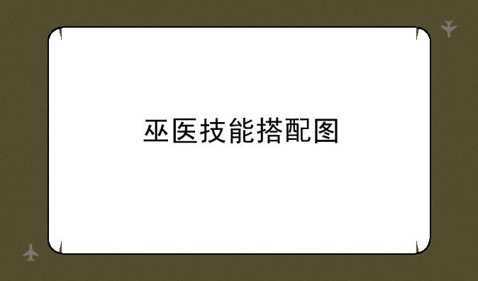 巫医技能搭配图