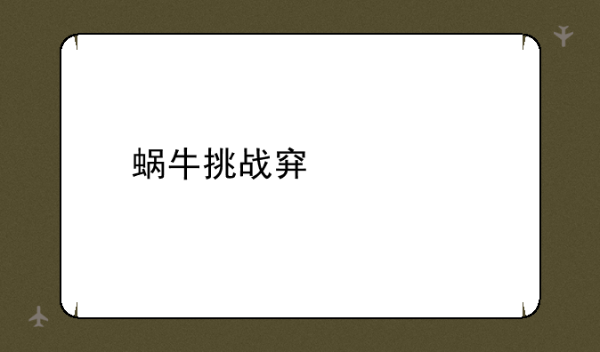 蜗牛挑战穿越者