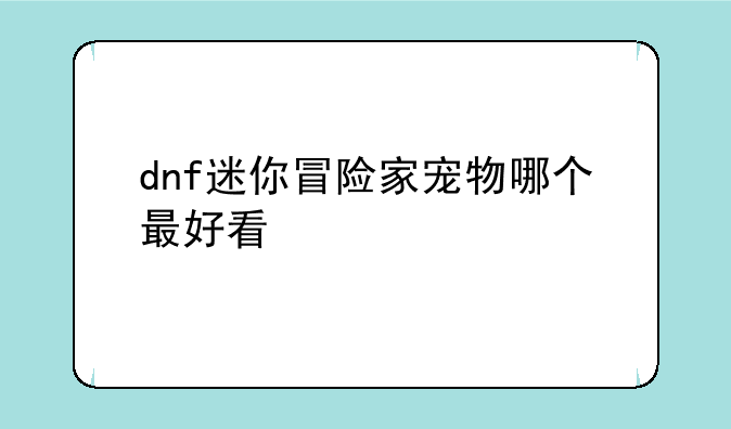 dnf迷你冒险家宠物哪个最好看
