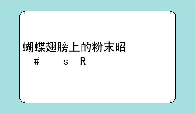 蝴蝶翅膀上的粉末是什么作用