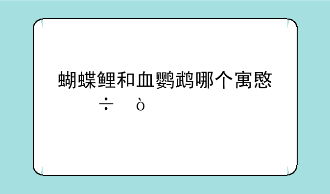 蝴蝶鲤和血鹦鹉哪个寓意好？