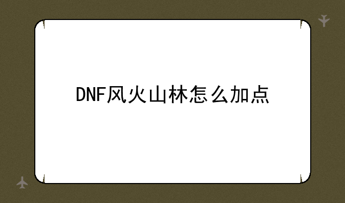 DNF风火山林怎么加点