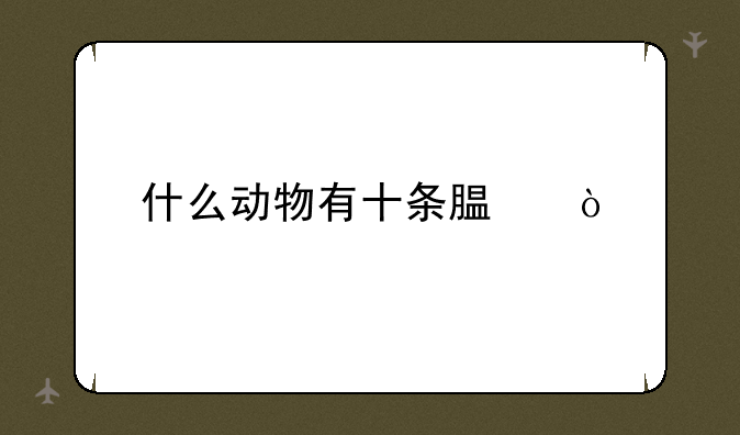 什么动物有十条腿？