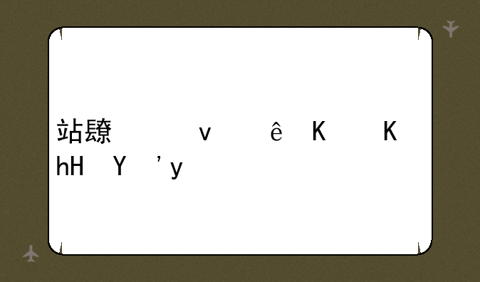 站长统计什么意思啊