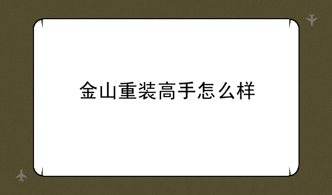 金山重装高手怎么样