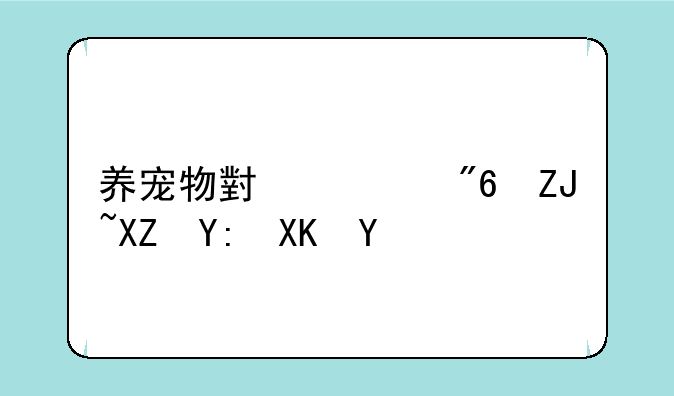 养宠物小游戏大全哪儿有