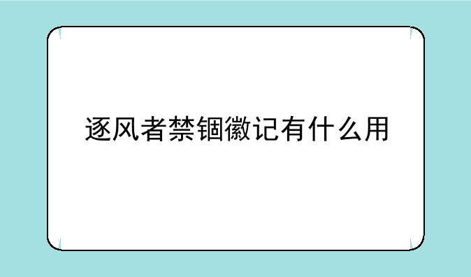 逐风者禁锢徽记有什么用