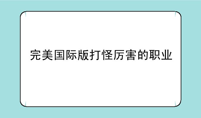 完美国际版打怪厉害的职业