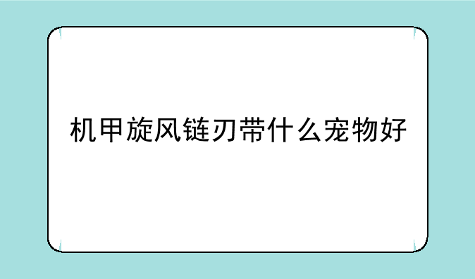 机甲旋风链刃带什么宠物好