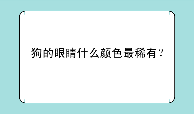 狗的眼睛什么颜色最稀有？