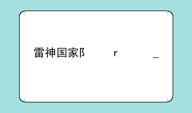雷神国家队圣遗物怎么刷？