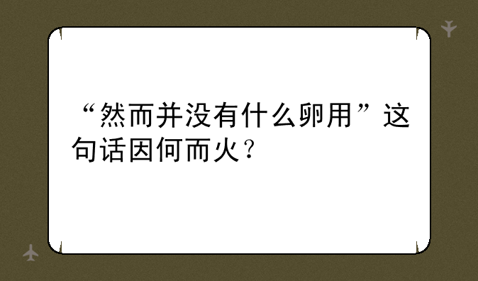 “然而并没有什么卵用”这句话因何而火？