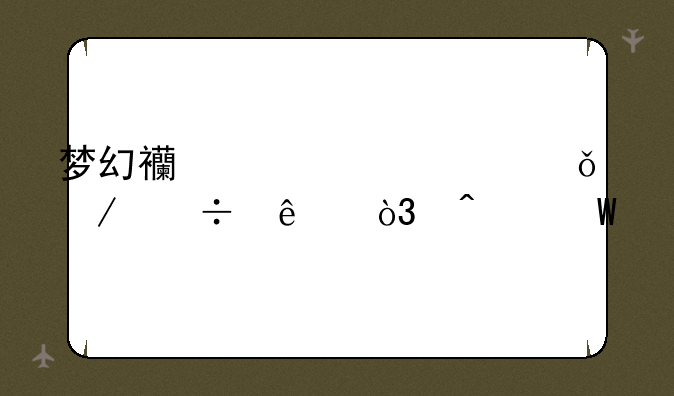 梦幻西游工具箱下载了，无法打开？