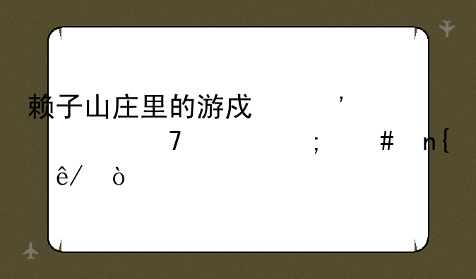 赖子山庄里的游戏安装不上怎么回事？
