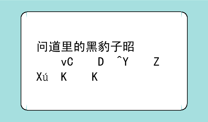 问道里的黑豹子是几级坐骑?名子叫什么?