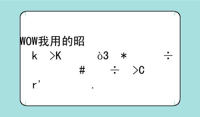 WOW我用的是大脚插件，加载什么能提示稀有精英