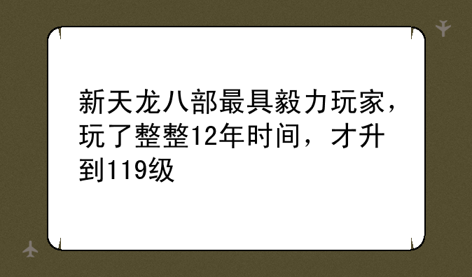 新天龙八部最具毅力玩家，玩了整整12年时间，才升到119级