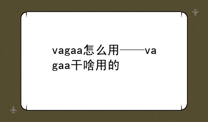 vagaa怎么用——vagaa干啥用的