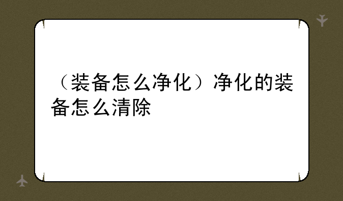 （装备怎么净化）净化的装备怎么清除