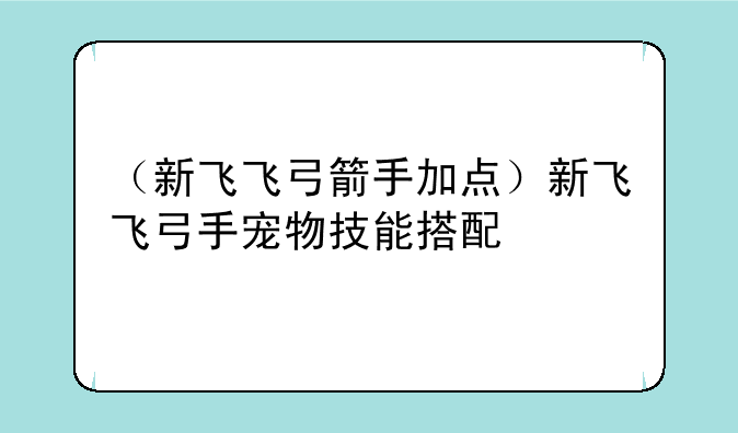 （新飞飞弓箭手加点）新飞飞弓手宠物技能搭配