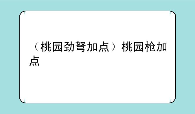 （桃园劲弩加点）桃园枪加点