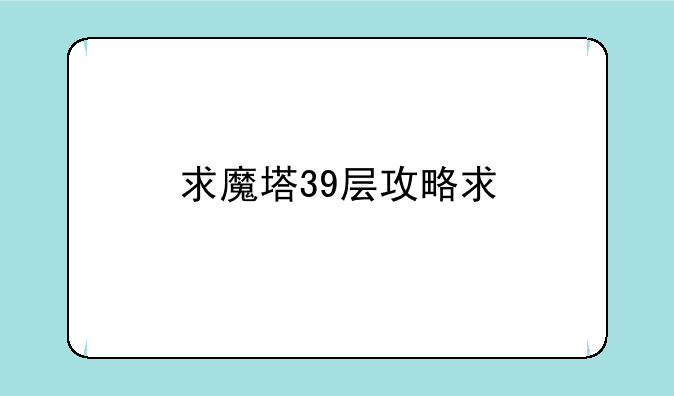 求魔塔39层攻略求