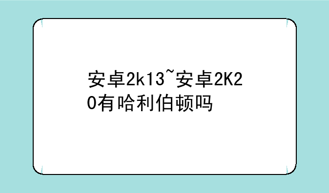安卓2k13~安卓2K20有哈利伯顿吗