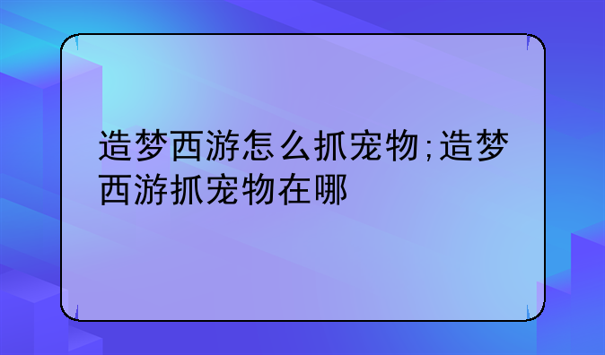 造梦西游怎么抓宠物;造梦西游抓宠物在哪