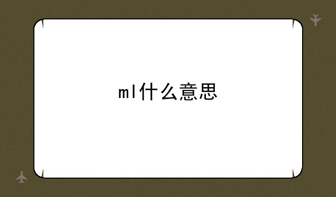 ml什么意思